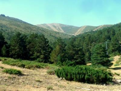 Circo Cerradillas-Loma Noruego; cañon del guadalix bosque animado de oma cañon del cares